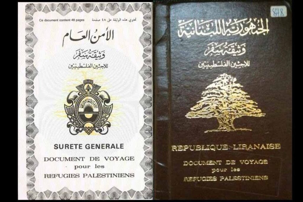 حنفي يدعو لبنان إلى إصدار أوراق ثبوتية لفاقدي الهوية