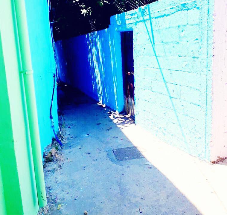 جدران منازل حي طيطبا في مخيم عين الحلوة تبدو بألوان جديدة بعد قيام مجموعة من الشباب بدهنها بعد تلقيهم دورة تدريبية في أساسيات الدهان من قبل جمعية زيتونة للتنمية الإجتماعية (بعدسة رشا حيدر).