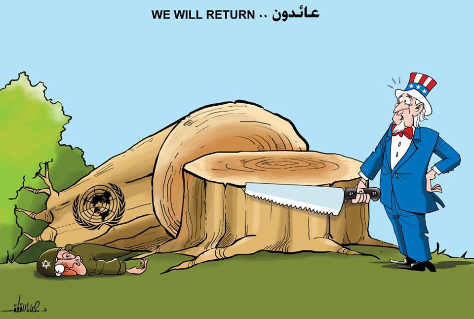 كريكايتر اليوم