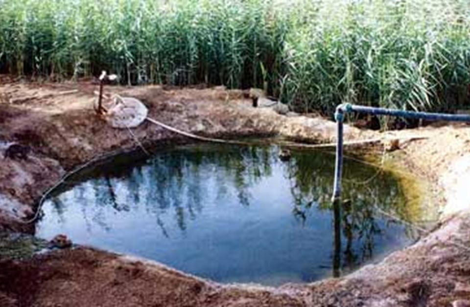 لجنة لتنظيم تشغيل آبار المياه في عين الحلوة