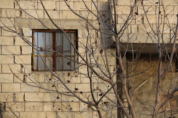 شجرة عارية يختبىء من خلفها بيت من بيوت مخيم الرشيدية، في صور، جنوب لبنان (بعدسة رانية سعد ألله).