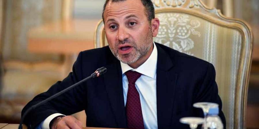 باسيل يميز بين النزوح السوري واللجوء الفلسطيني