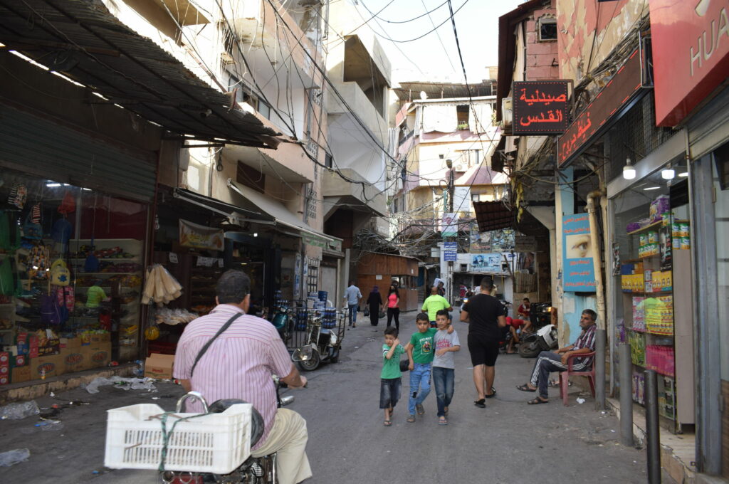 منيمنة: عجز الدولة أخرج الفلسطينيين من خطة ترشيد الدعم