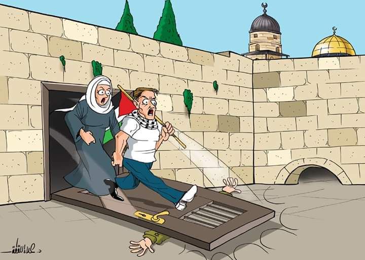 كريكاتير اليوم