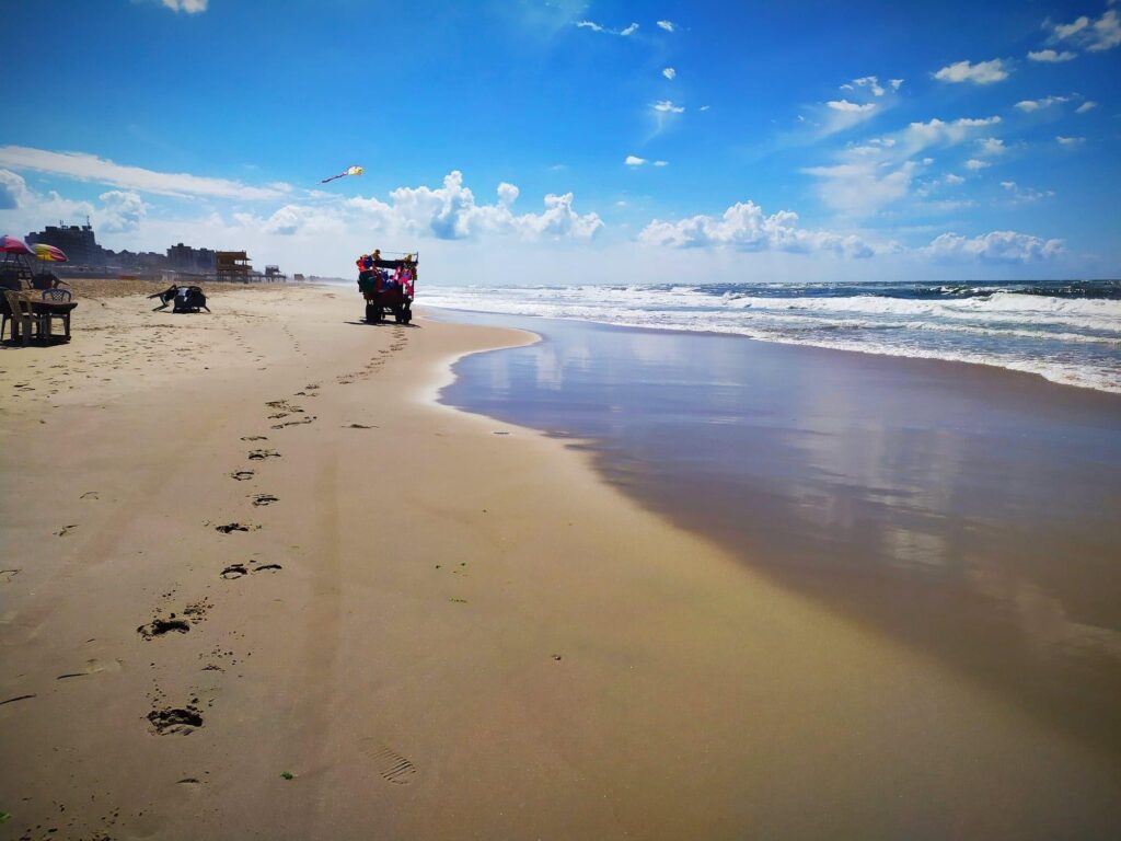 بحر غزة على منصة زوم الأحد