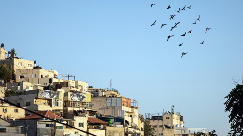 عيون جداريات سلوان مسلطة على جرائم الإستيطان