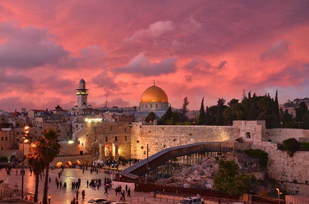 فلسطين شهيدة تراجيديا العصر؟