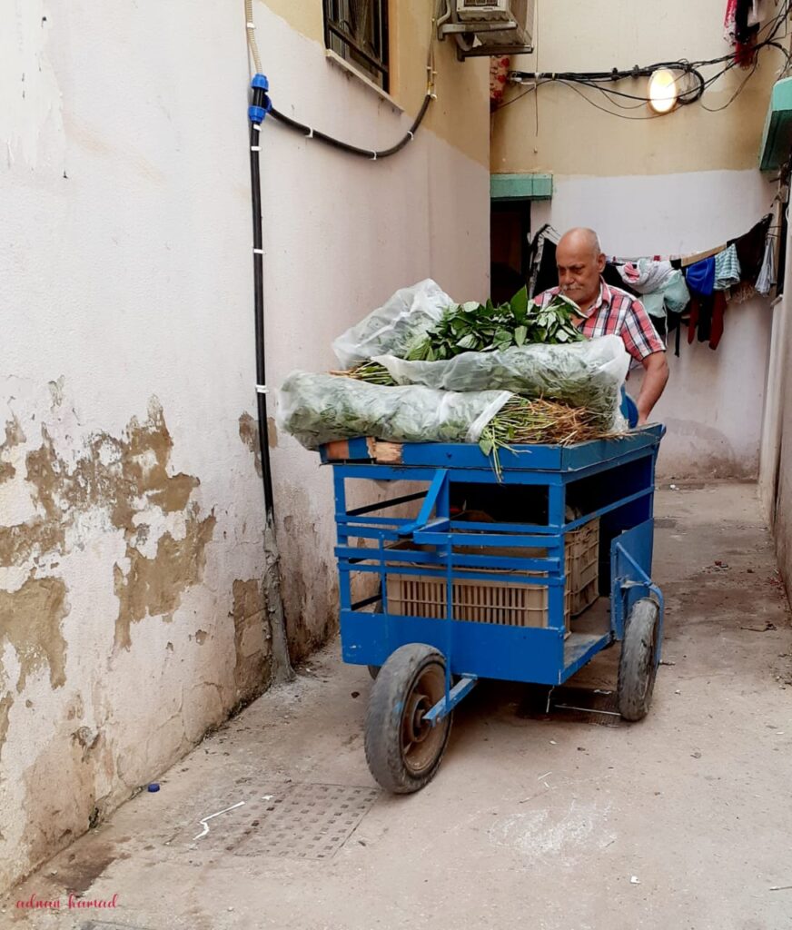 أحد الباعة الجوالين الذي يبيع الملوخية في شوارع مخيم نهر البارد للاجئين الفلسطينيين في مدينة طرابلس، شمال لبنان (بعدسة عدنان الحمد)