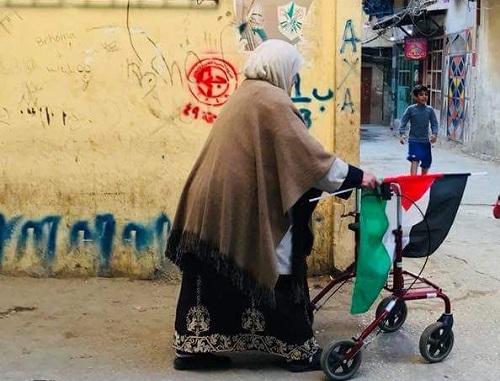 حاجة في مخيم البداوي في طرابلس، شمال لبنان تستعين بعربتها (الوكر) للتجول في أزقة المخيم وهي تحمل العلم الفلسطيني (بعدسة أحمد مازن لوباني).