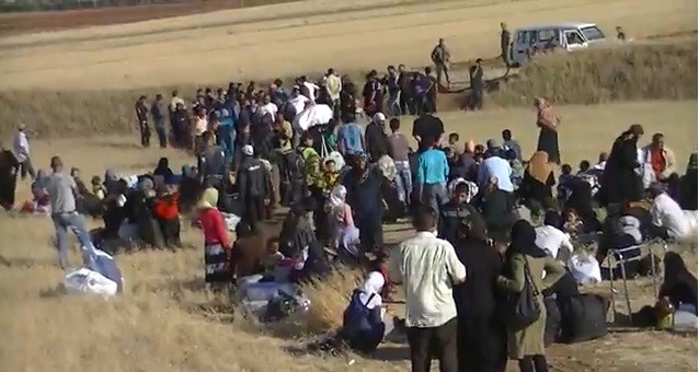 ترتيبات لتسوية ملفات فلسطينيي سوريا في لبنان