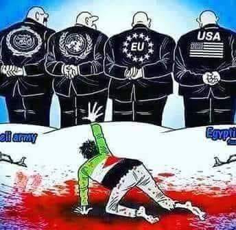 كريكاتير اليوم