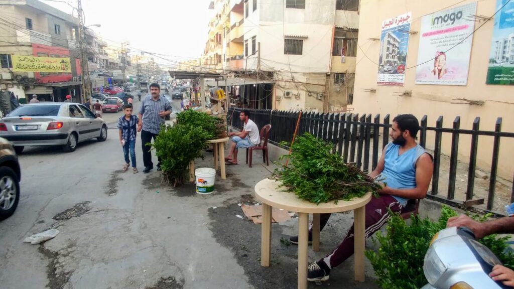 بسطات لبيع الحشائش المختلفة في مخيم نهر البارد للاجئين الفلسطينيين في طرابلس، شمال لبنان (بعدسة عدنان الحمد)