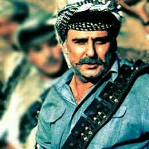 نجم التغريبة الفلسطينية ينفي الظهور على التلفزيون الإسرائيلي