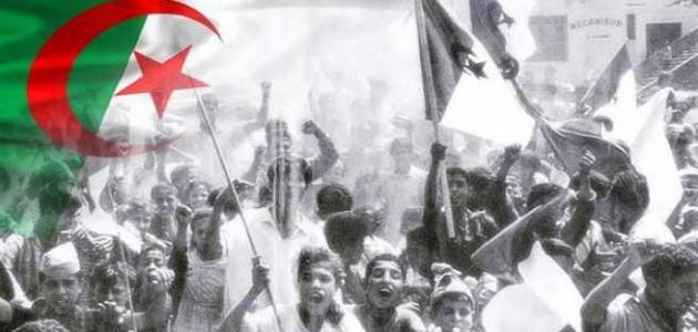 تجربة جزائرية لفلسطين