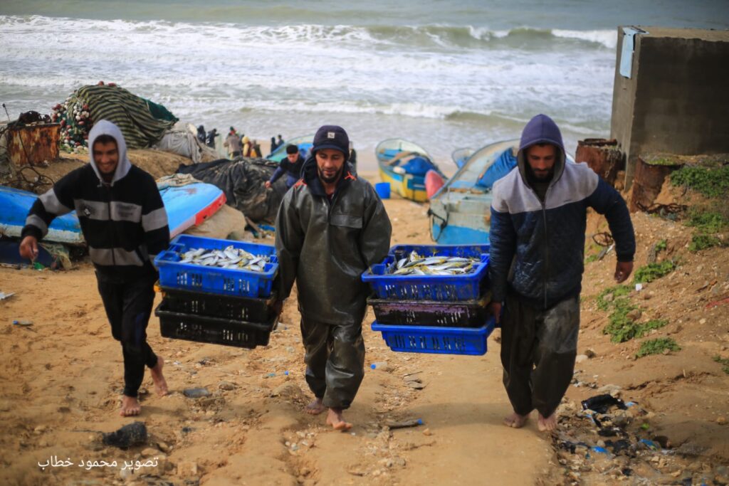 صيادون فلسطينيون على شاطىء دير البلح في قطاع غزة غزة يحملون غلتهم من السمك (بعدسة محمود خطاب)
