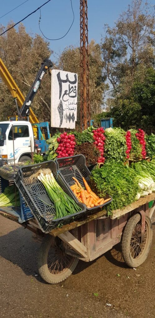 عربة لبيع الخضار على مدخل مخيم عين الحلوة للاجئين الفلسطينيين من جهة الحسبة، صيدا جنوب لبنان (بعدسة وسام محمد)