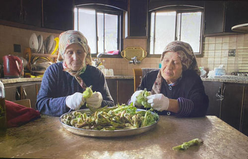 إحتفاء برليني بالسينما الفلسطينية