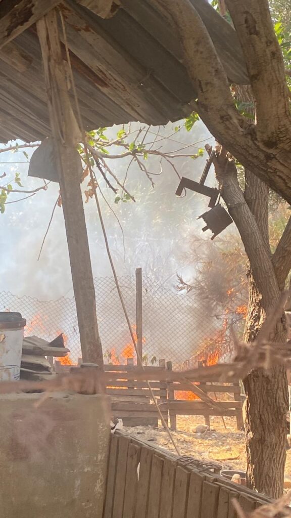 واشنطن قلقة على مدنيي عين الحلوة ونصرالله يحث على ممارسة الضغوط