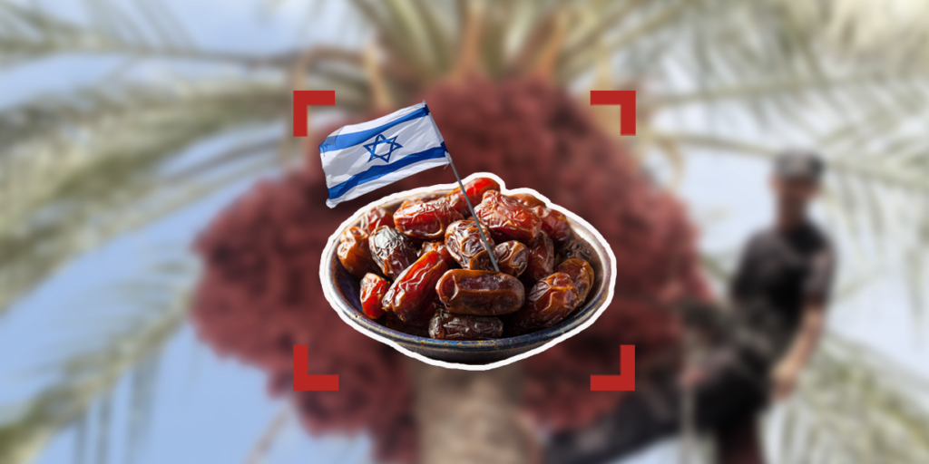 سكرية ينفي وجود أدلة حول دخول تمور إسرائيلية للسوق اللبنانية