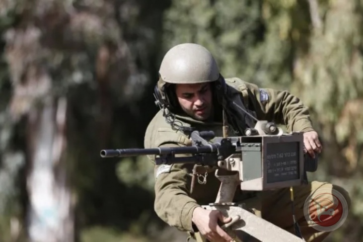 الخضر الألماني يطالب بوقف تسليح الكيان