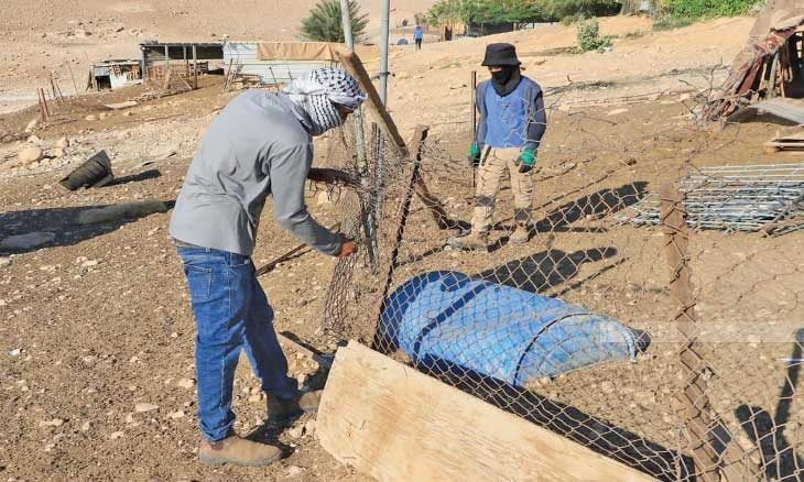 فتوح يطالب بتحرك دولي لوقف ترحيل عرب المليحات